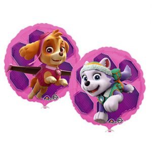 Paw Patrol Skye & Everest Mylar Ball