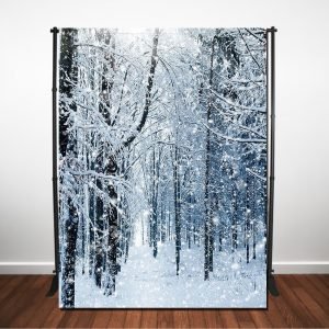 Winter Wonderland Scenery Backdrop The Brat Shack
